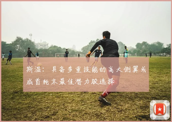 斯温：具备多重技能的高大侧翼或成首轮末最佳潜力股选择